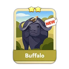 Buffalo