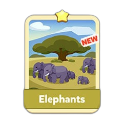 Elephants