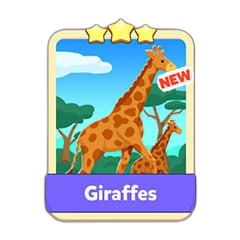 Giraffes