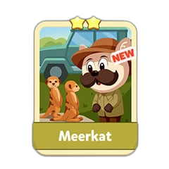 Meerkat