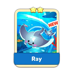 Ray