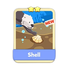 Shell