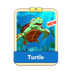 Turtle