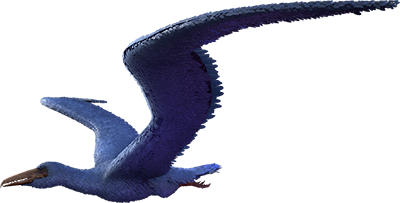 Pelagornis