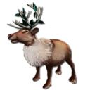 Megaloceros Reindeer Costume