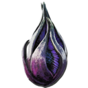 Plant Species Z Fruit (Aberration)