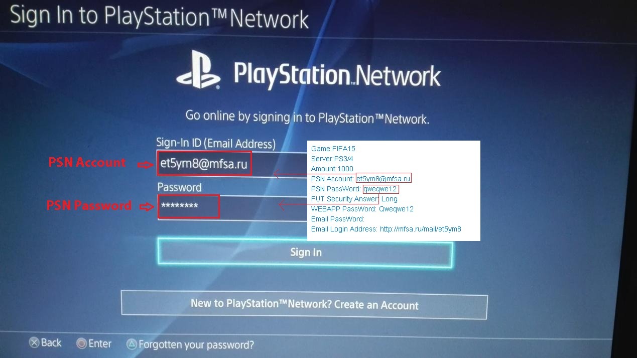 psn.jpg