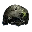 Preserved Cranium Preserved Cranium